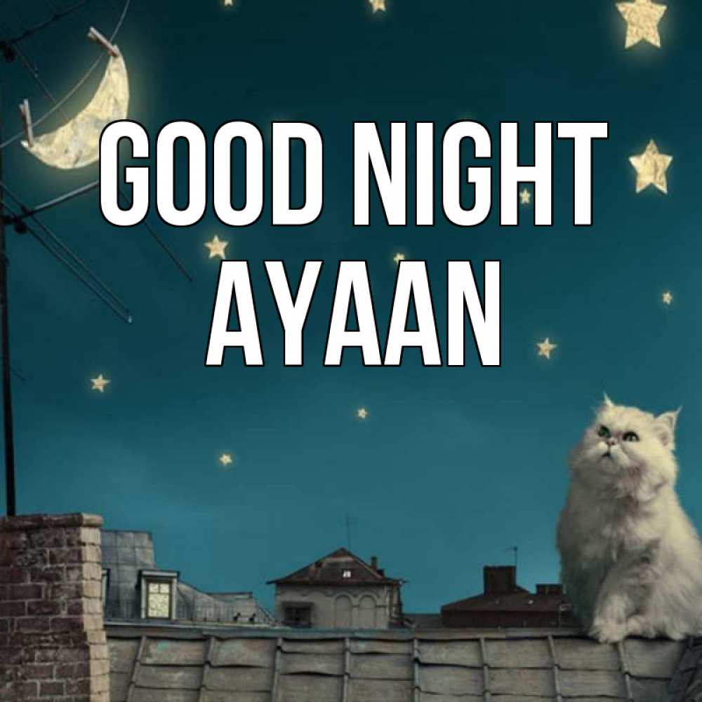 Greetings card с именем, Ayaan Good night белый кот сидит на крыше Greetings with text for free download 