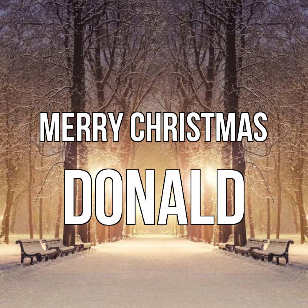 Greetings card с именем, Donald Merry Christmas зима, парк, фонарь, лес Greetings with text for free download 