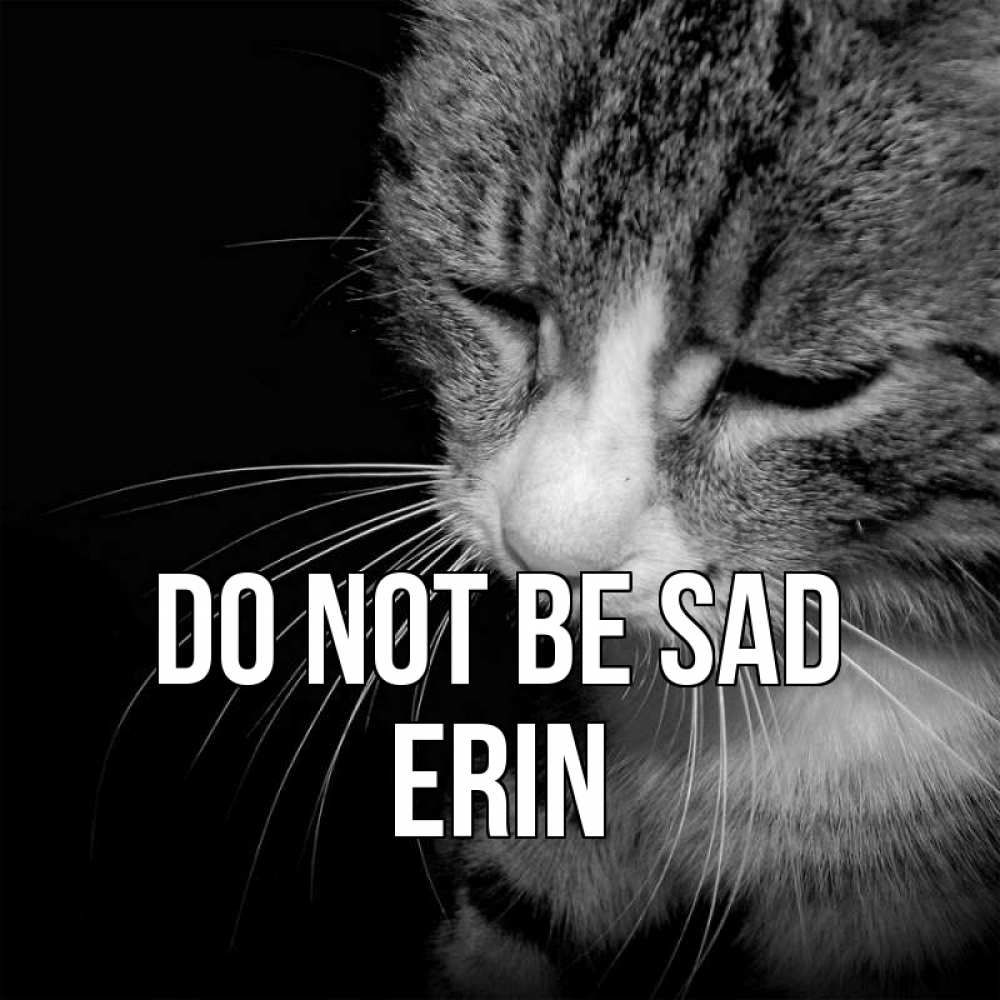 Greetings card с именем, Erin Do not be sad грустный котик Greetings with text for free download 