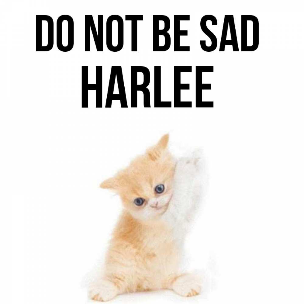 Greetings card с именем, Harlee Do not be sad просящий кот Greetings with text for free download 