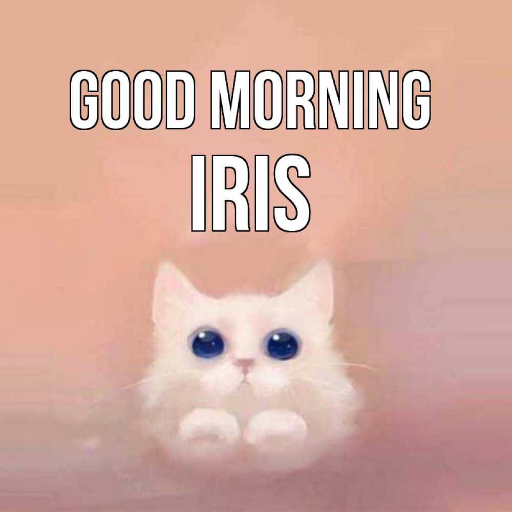 Greetings card с именем, Iris Good morning на розовом фоне Greetings with text for free download 
