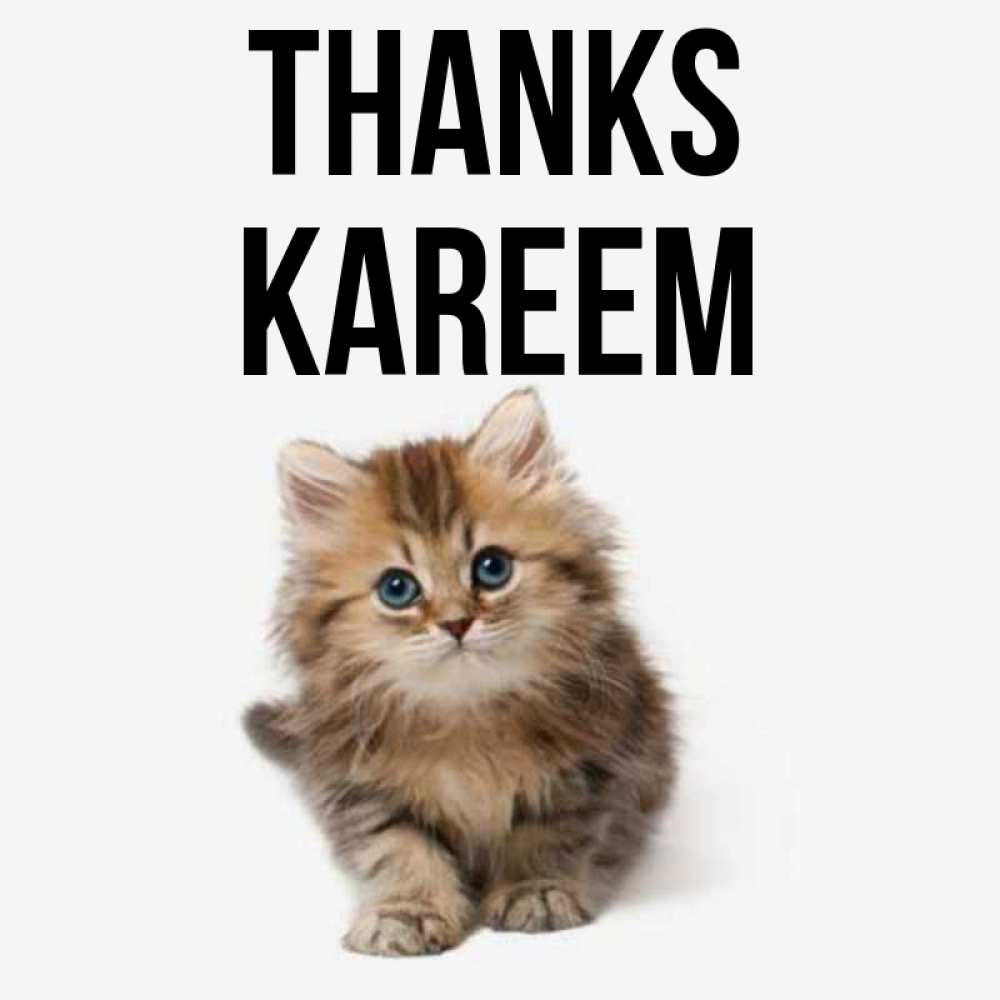 Greetings card с именем, Kareem Thanks пушистый котик Greetings with text for free download 