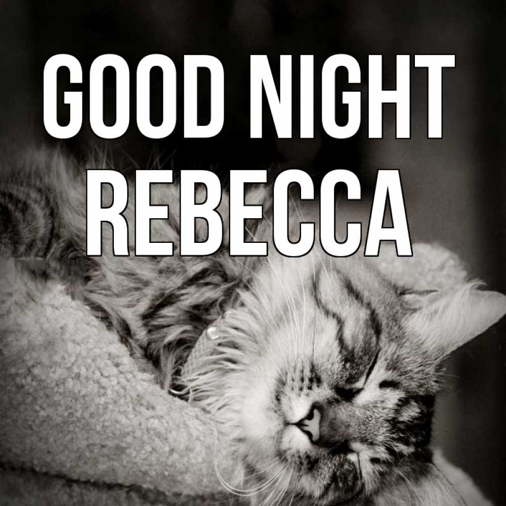 Greetings card с именем, Rebecca Good night котярик пушистый Greetings with text for free download 