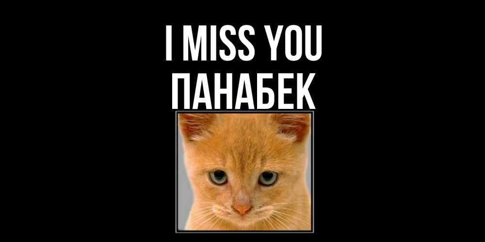 Greetings card с именем, ПАНАБЕК I miss you открытки рыжий котенок скучает по тебе Greetings with text for free download 