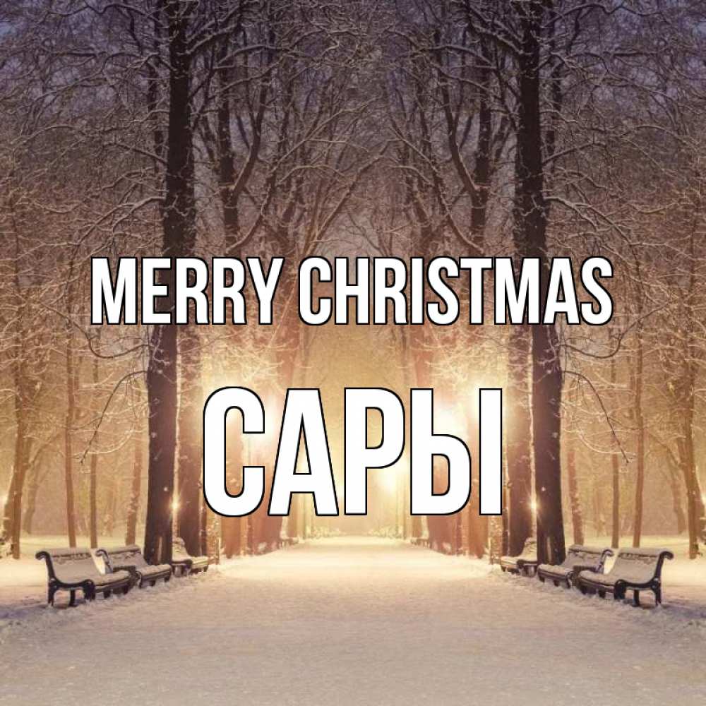 Greetings card с именем, САРЫ Merry Christmas зима, парк, фонарь, лес Greetings with text for free download 