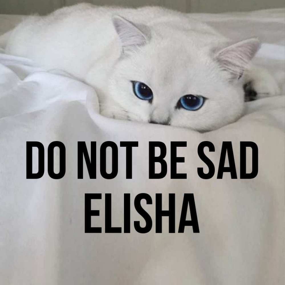 Greetings card с именем, Elisha Do not be sad Голубоглазая кошка Greetings with text for free download 