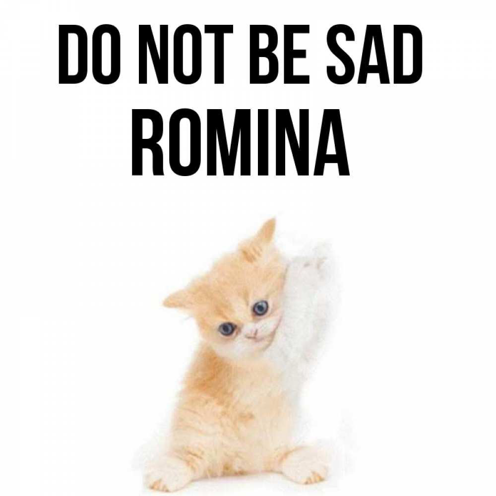 Greetings card с именем, Romina Do not be sad просящий кот Greetings with text for free download 