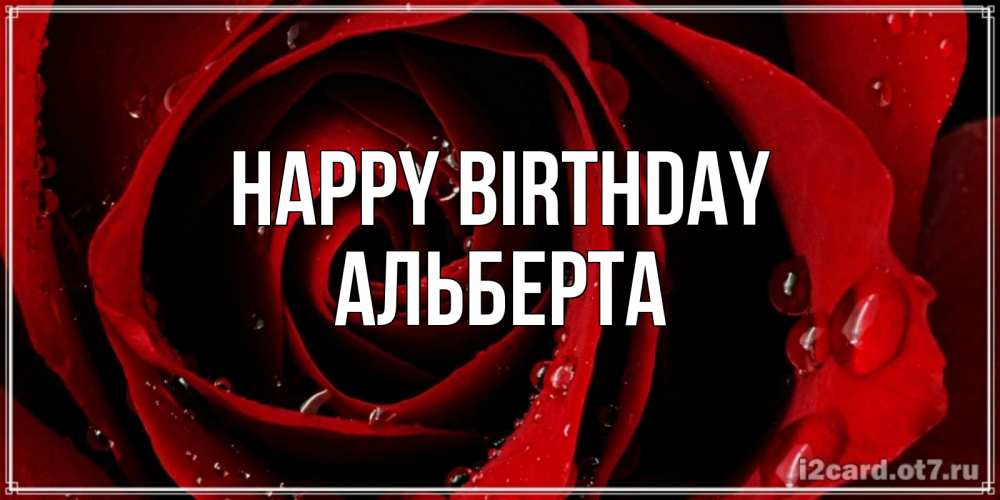 Greetings card с именем, Альберта Happy Birthday крупная бордовая роза Greetings with text for free download 