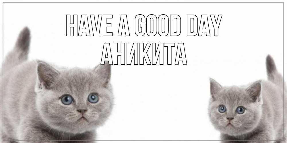 Greetings card с именем, Аникита Have a good day открытка с котами Greetings with text for free download 