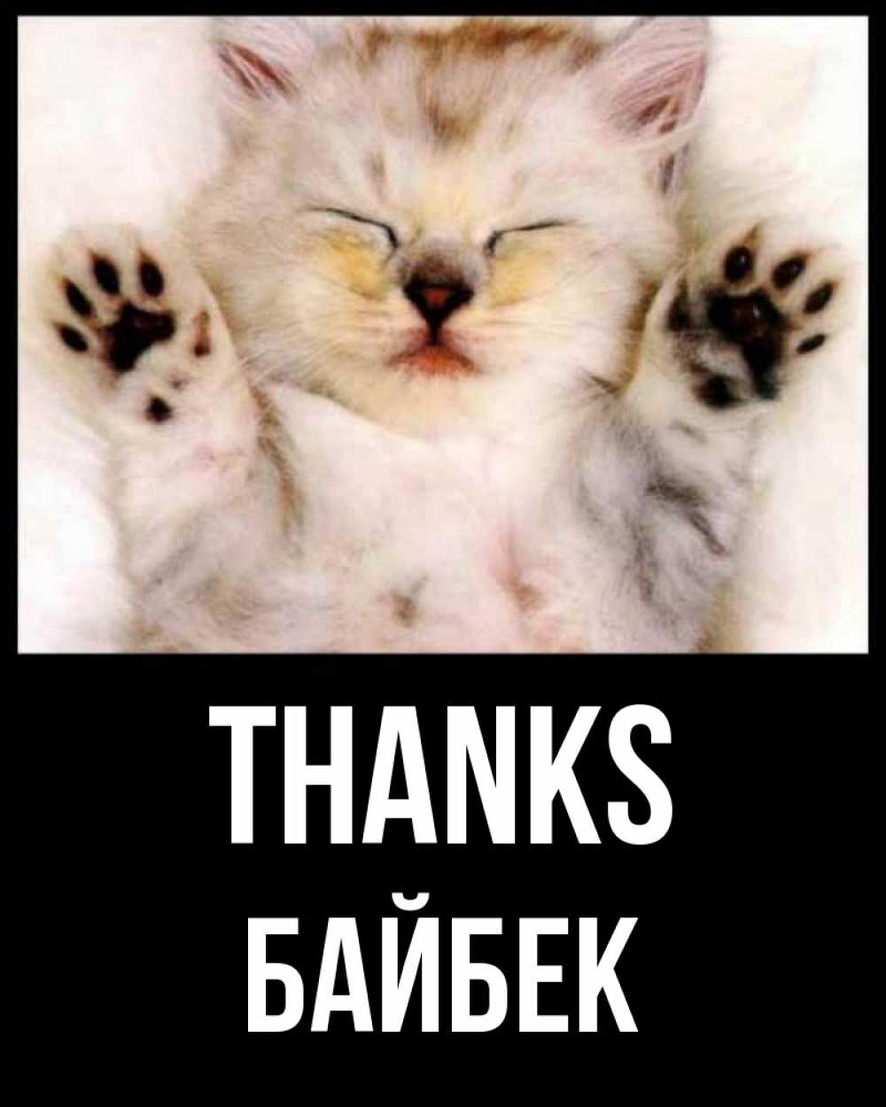 Greetings card с именем, Байбек Thanks маленький котенок Greetings with text for free download 