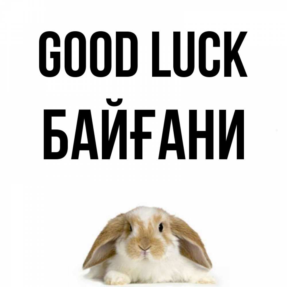 Greetings card с именем, Байғани Good luck открытки с произвольным текстом который можно вставить в открытку и создать ее самостоятельно бесплатно онлайн Greetings with text for free download 