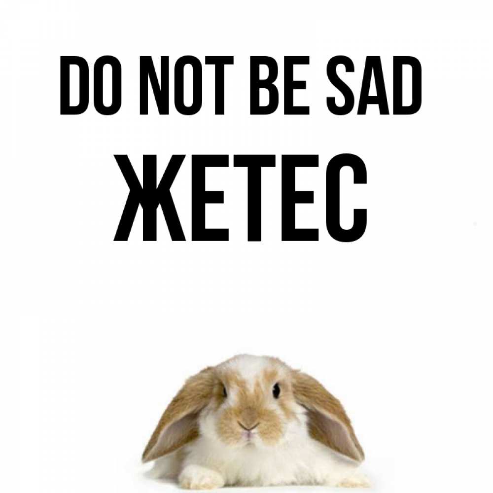 Greetings card с именем, Жетес Do not be sad коричнево белый заяц с большими ушками Greetings with text for free download 
