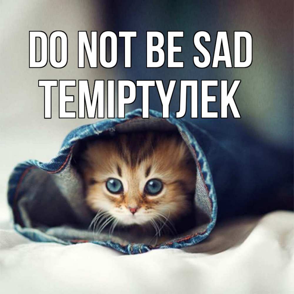 Greetings card с именем, ТЕМІРТҮЛЕК Do not be sad рыжик котик Greetings with text for free download 