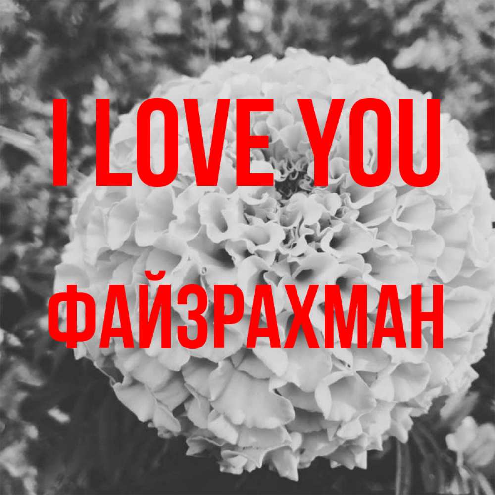 Greetings card с именем, ФАЙЗРАХМАН I love you подпись Greetings with text for free download 