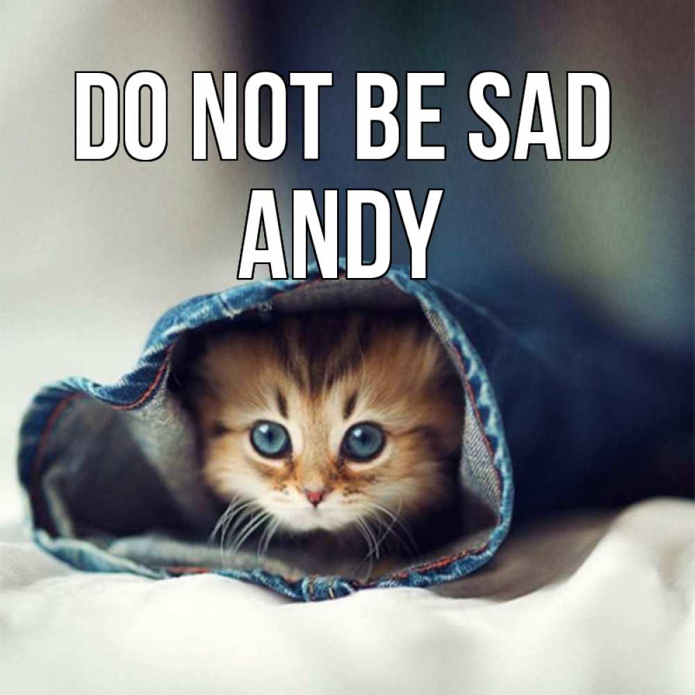 Greetings card с именем, Andy Do not be sad кот в одежде Greetings with text for free download 