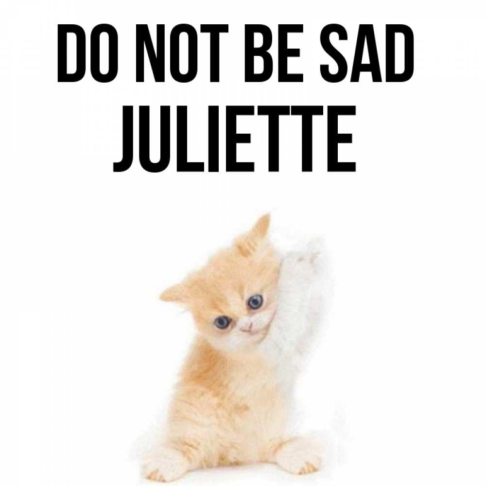 Greetings card с именем, Juliette Do not be sad просящий кот Greetings with text for free download 