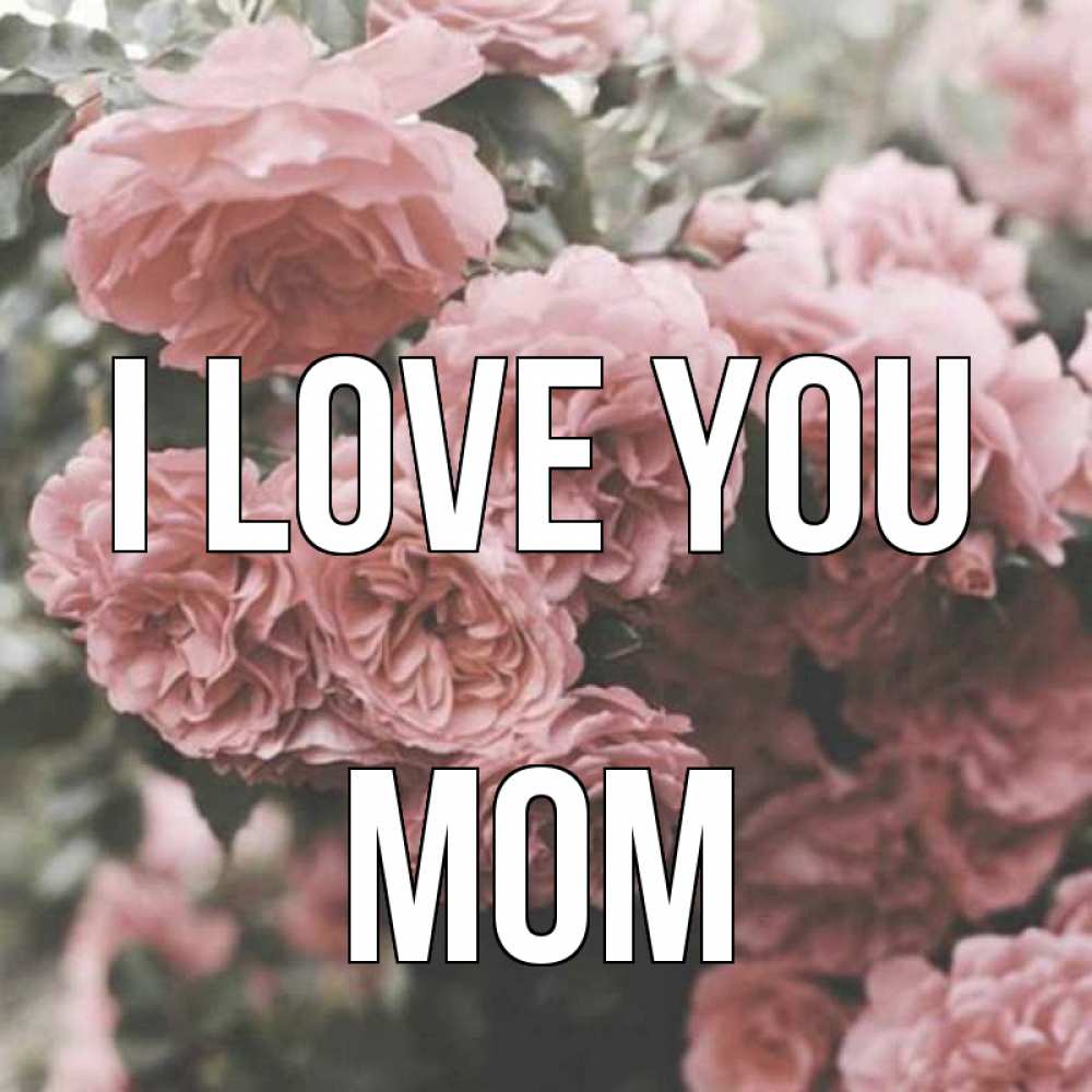 Greetings card с именем, mom I love you розы 3 Greetings with text for free download 