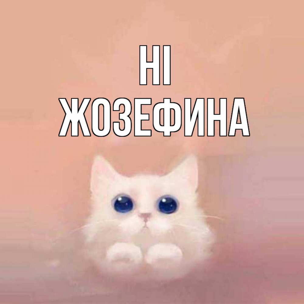 Greetings card с именем, Жозефина Hi котик белый в полете Greetings with text for free download 