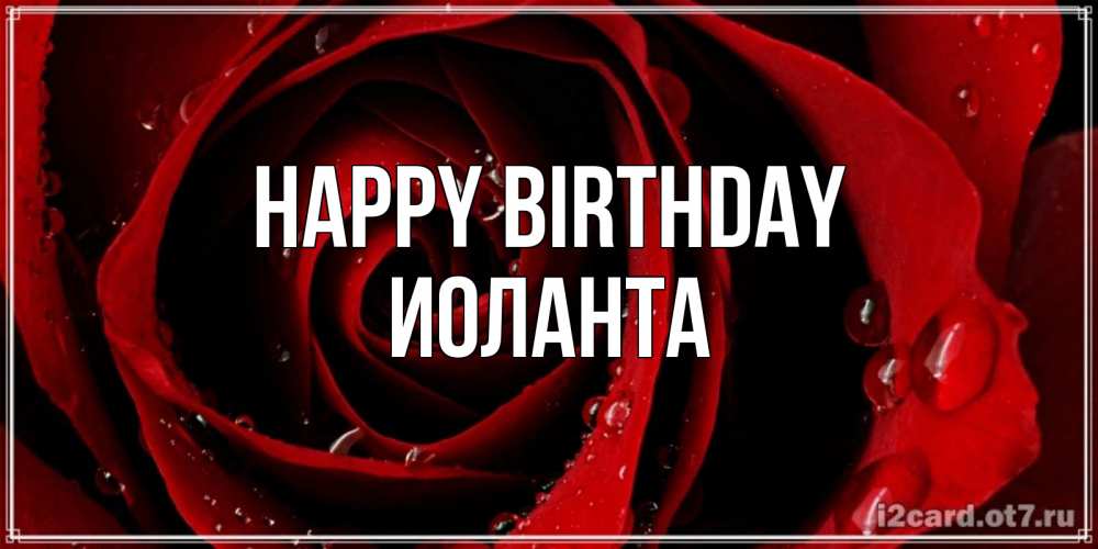 Greetings card с именем, Иоланта Happy Birthday крупная бордовая роза Greetings with text for free download 
