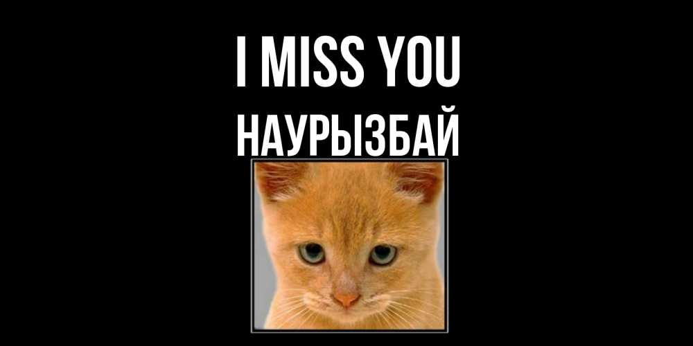 Greetings card с именем, Наурызбай I miss you открытки рыжий котенок скучает по тебе Greetings with text for free download 