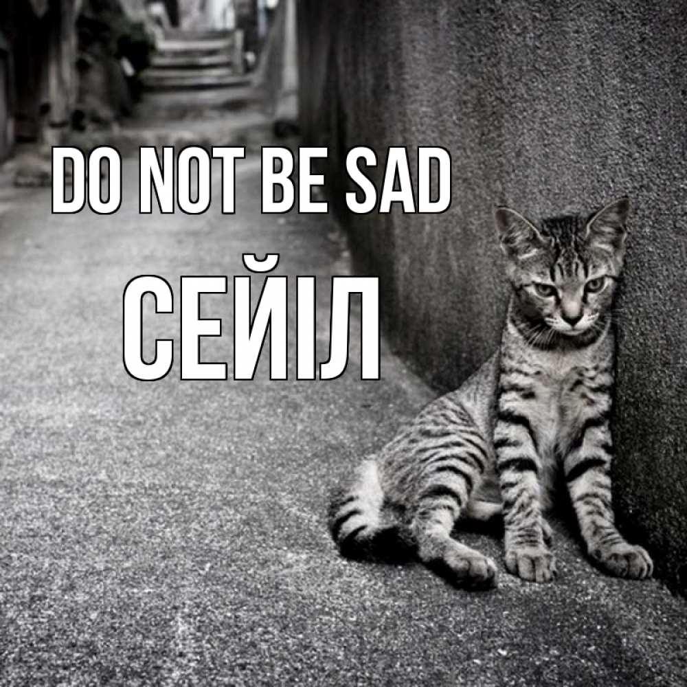 Greetings card с именем, СЕЙІЛ Do not be sad скучающий котик Greetings with text for free download 