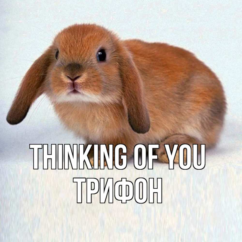 Greetings card с именем, Трифон Thinking of you кроль коричневый Greetings with text for free download 