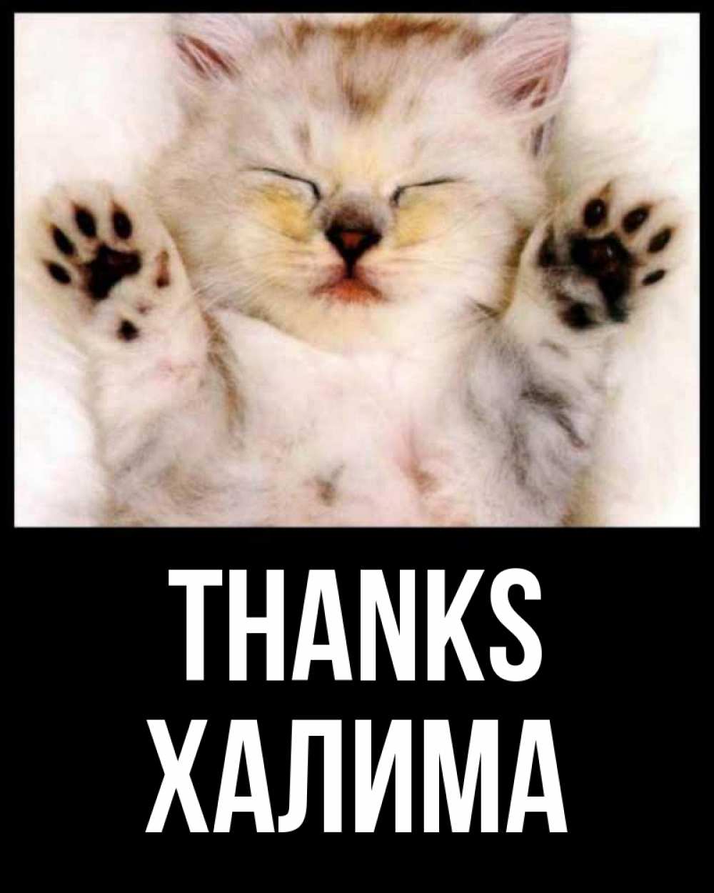 Greetings card с именем, ХАЛИМА Thanks маленький котенок Greetings with text for free download 