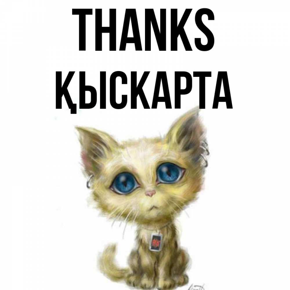 Greetings card с именем, Қыскарта Thanks рисованный кот благодарит вас Greetings with text for free download 