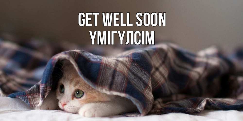 Greetings card с именем, ҮМІГҮЛСІМ Get well soon не болейте с котиком Greetings with text for free download 