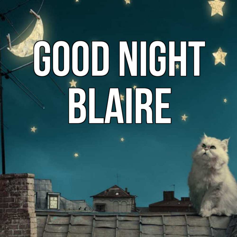 Greetings card с именем, Blaire Good night белый кот сидит на крыше Greetings with text for free download 