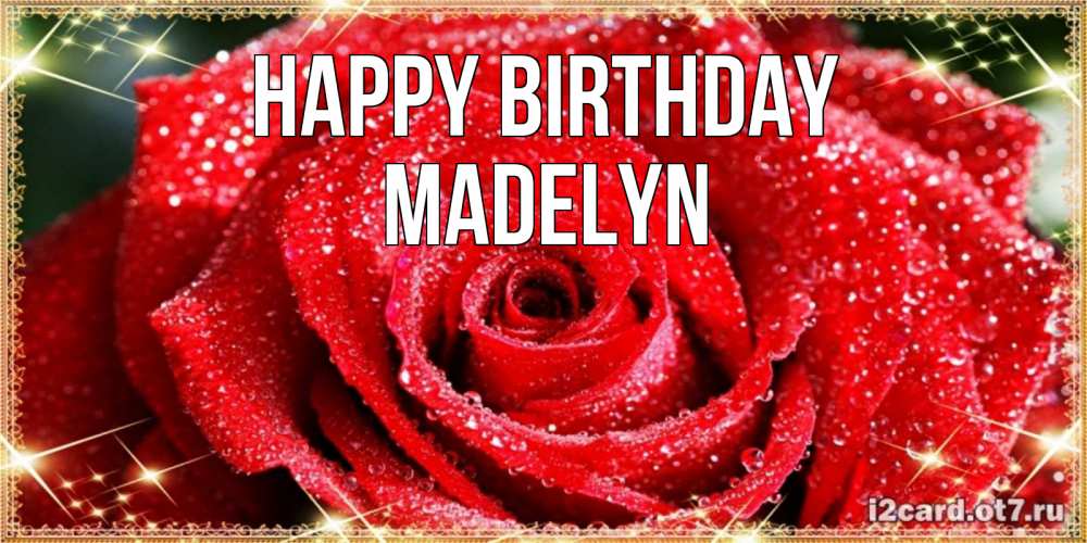 Greetings card с именем, Madelyn Happy Birthday роса и роза. открытка с красивой розой Greetings with text for free download 