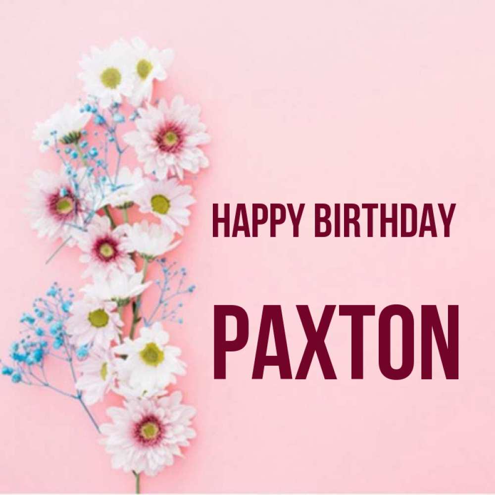 Greetings card с именем, Paxton Happy Birthday Родная моя с днем рождения тебя картинка с цветами белыми и голубыми Greetings with text for free download 