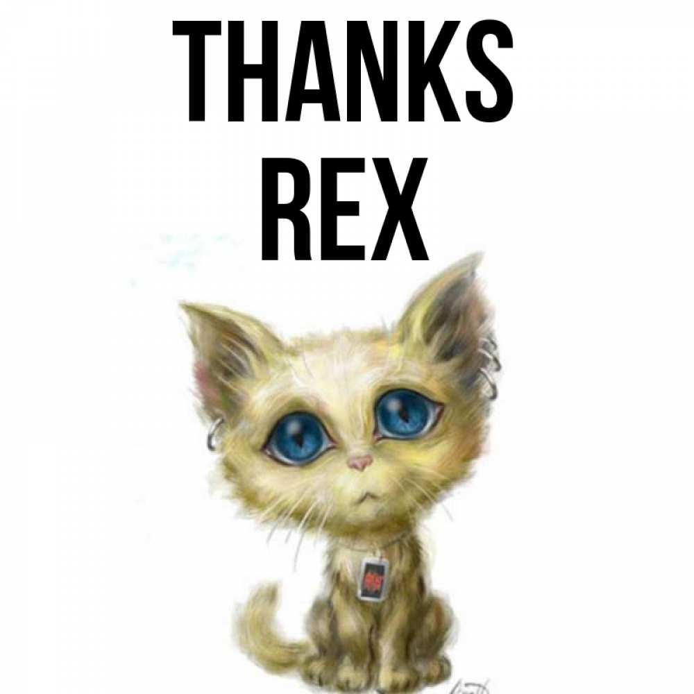 Greetings card с именем, Rex Thanks рисованный кот благодарит вас Greetings with text for free download 