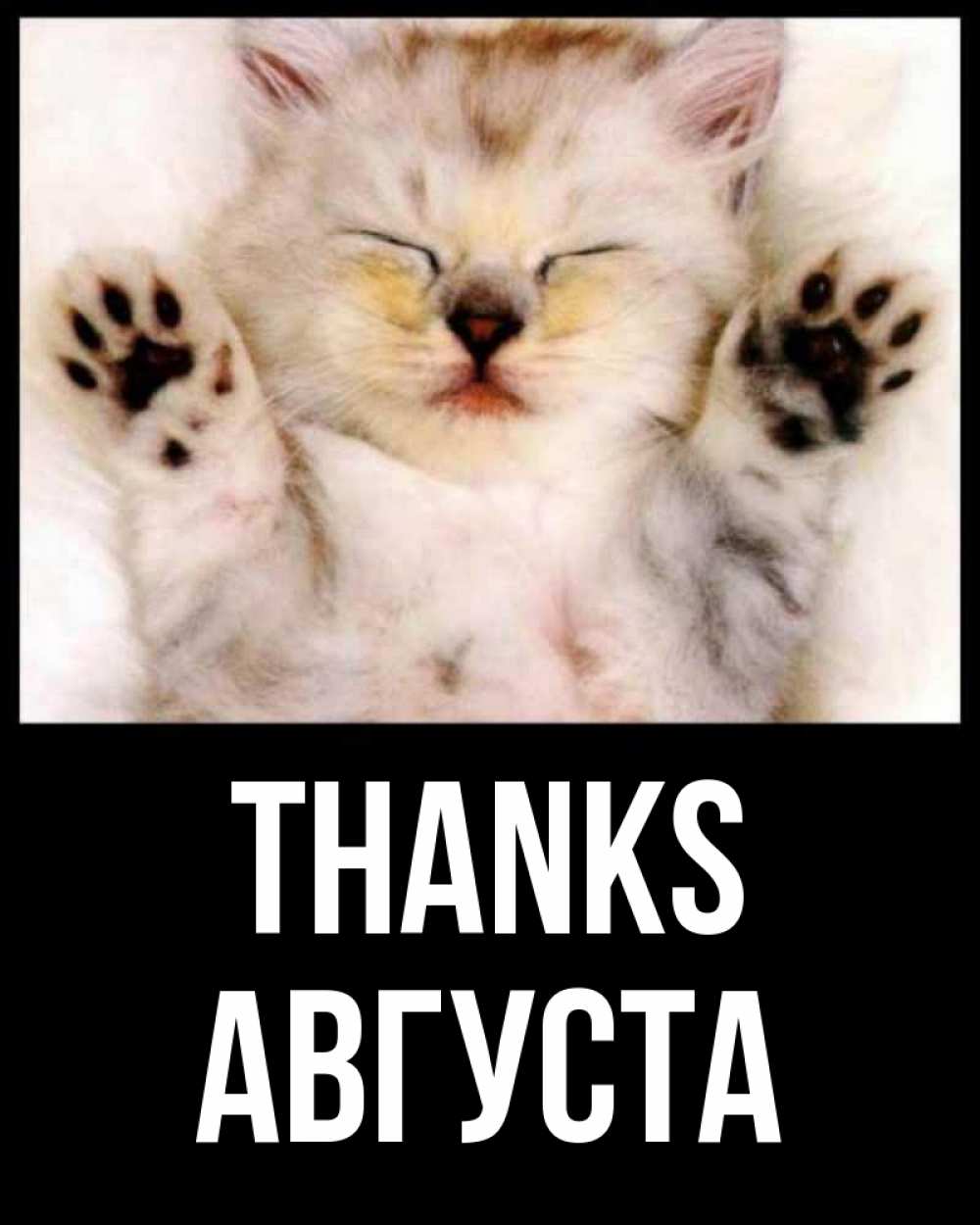 Greetings card с именем, Августа Thanks маленький котенок Greetings with text for free download 