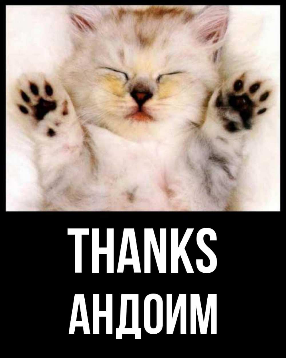 Greetings card с именем, Андоим Thanks маленький котенок Greetings with text for free download 