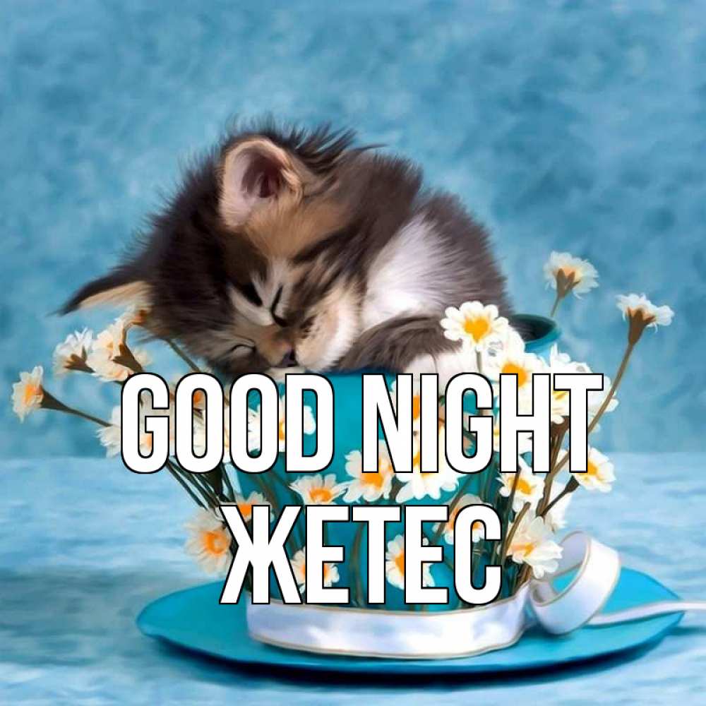 Greetings card с именем, Жетес Good night котенок спит в кружке с блюдцем Greetings with text for free download 