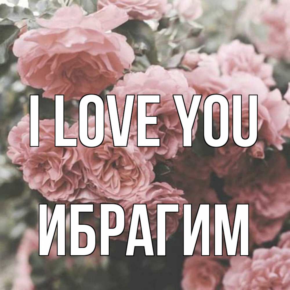 Greetings card с именем, Ибрагим I love you розы 3 Greetings with text for free download 