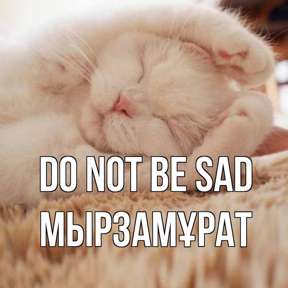 Greetings card с именем, Мырзамұрат Do not be sad белый кот Greetings with text for free download 
