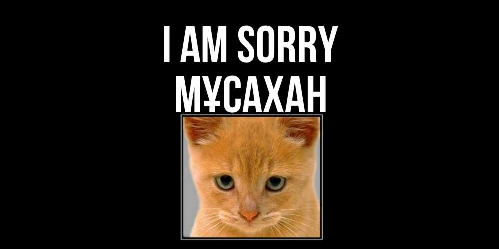 Greetings card с именем, Мұсахан I am sorry рыжий грустный кот просит прощения Greetings with text for free download 