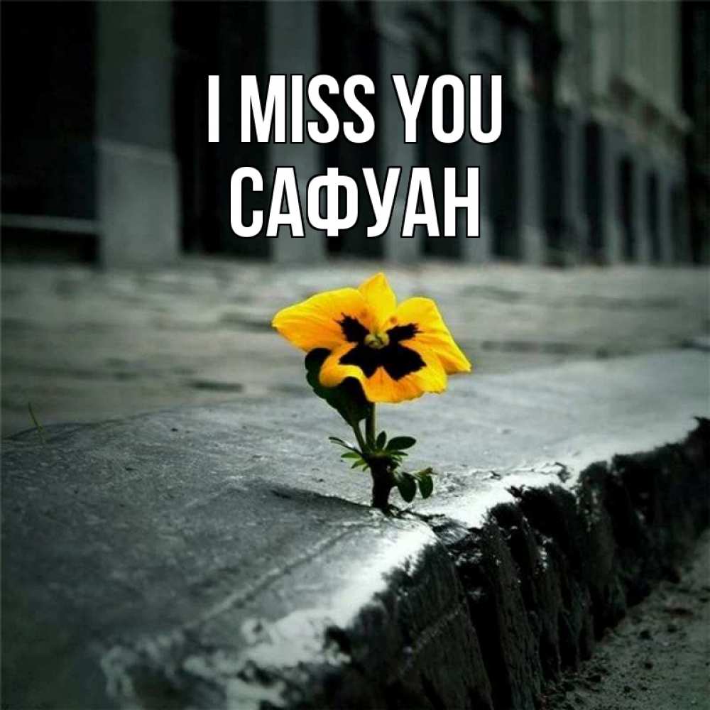 Greetings card с именем, САФУАН I miss you надеюсь будет лучше Greetings with text for free download 