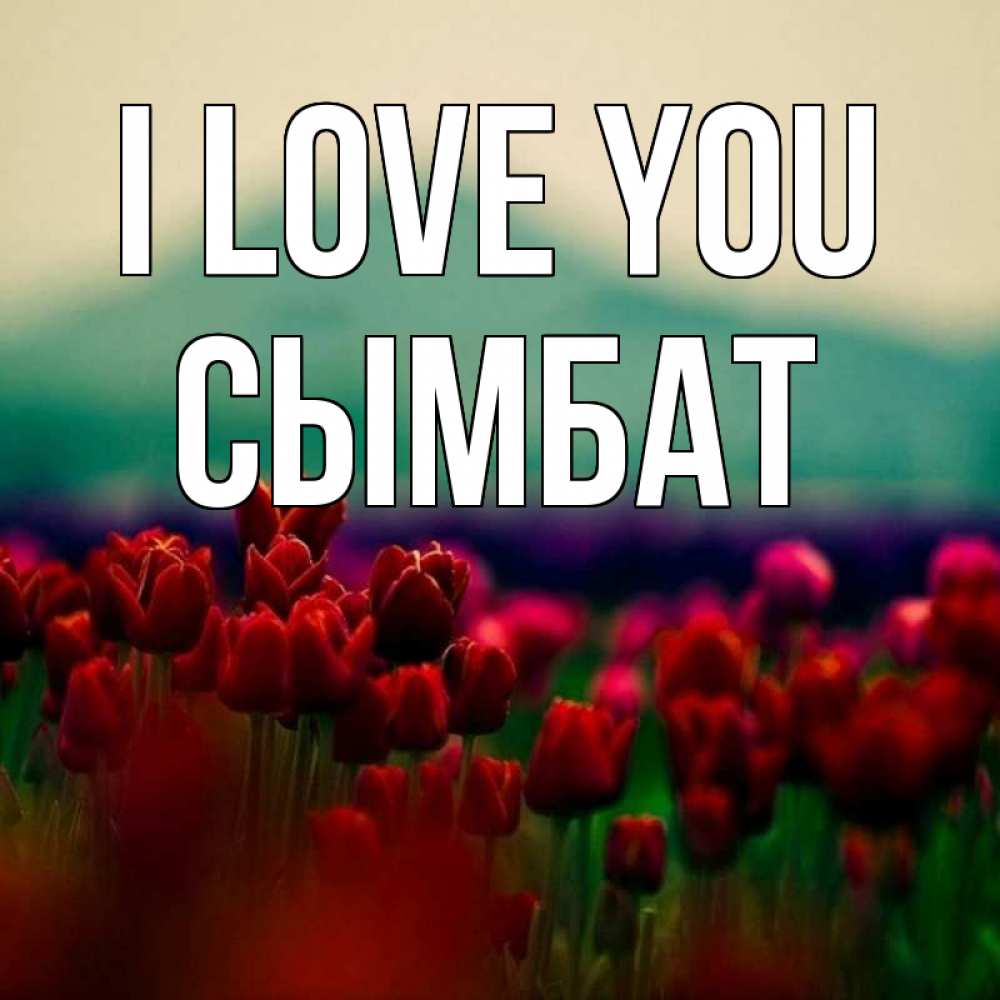 Greetings card с именем, СЫМБАТ I love you тюльпаны 4 Greetings with text for free download 