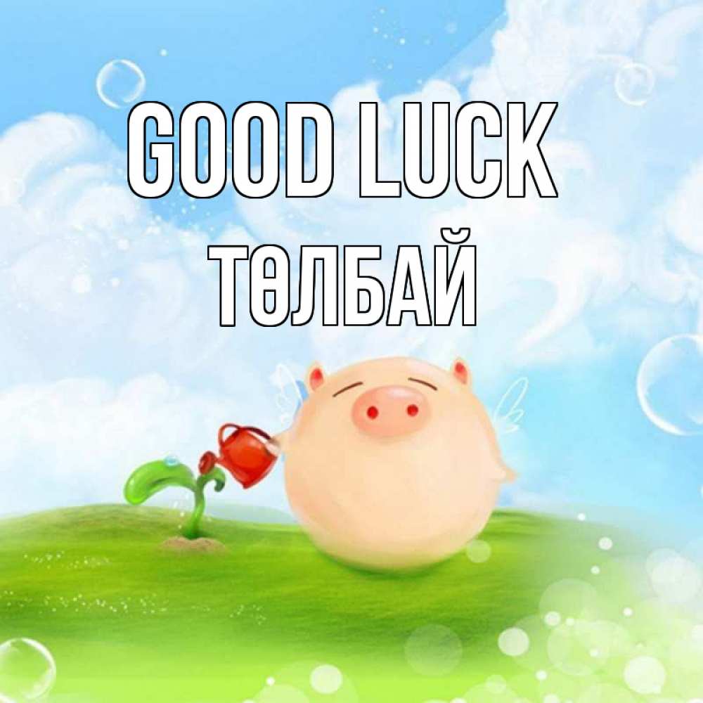 Greetings card с именем, ТӨЛБАЙ Good luck поросенок поливает цветок. летнее настроение Greetings with text for free download 