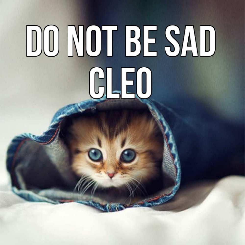 Greetings card с именем, Cleo Do not be sad кот в одежде Greetings with text for free download 