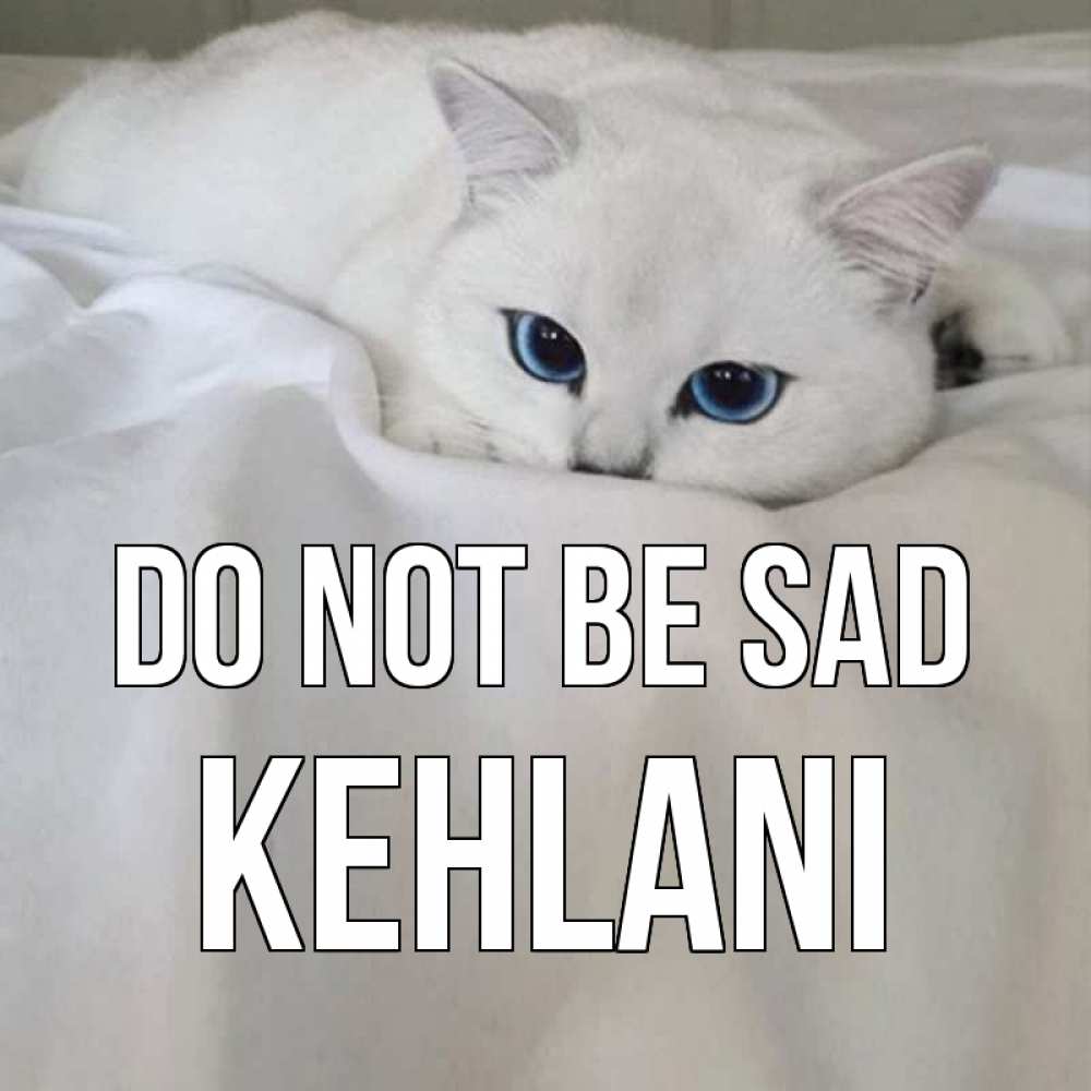 Greetings card с именем, Kehlani Do not be sad белый кот с голубыми глазами на белоснежной кровати Greetings with text for free download 