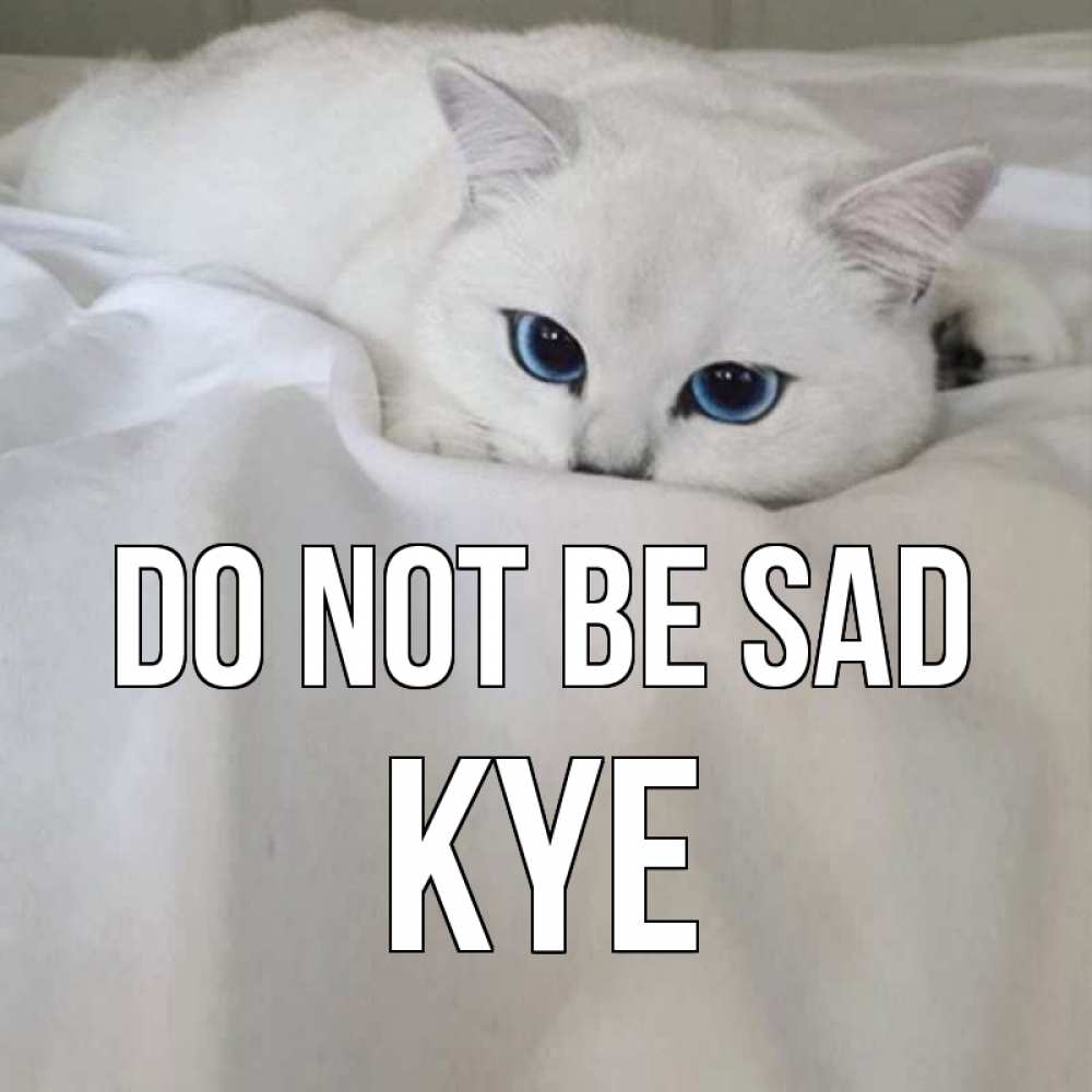 Greetings card с именем, Kye Do not be sad белый кот с голубыми глазами на белоснежной кровати Greetings with text for free download 