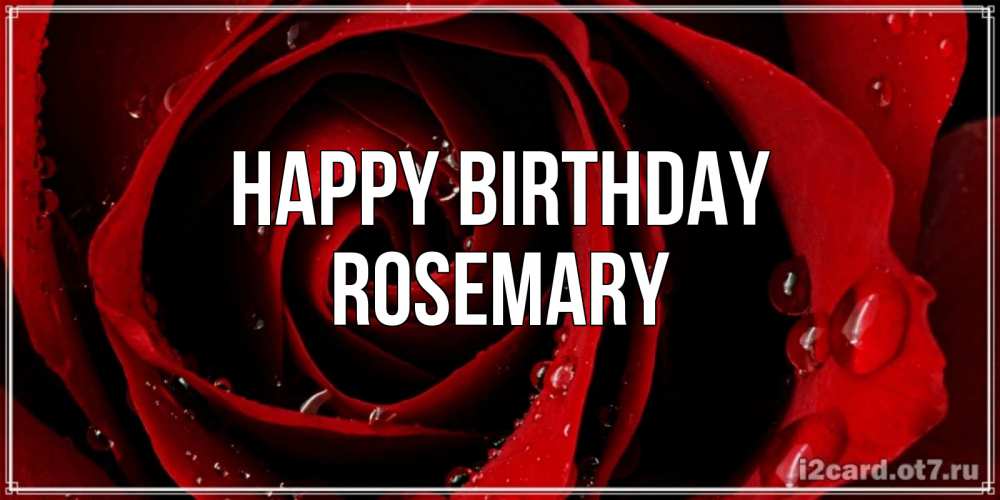 Greetings card с именем, Rosemary Happy Birthday крупная бордовая роза Greetings with text for free download 