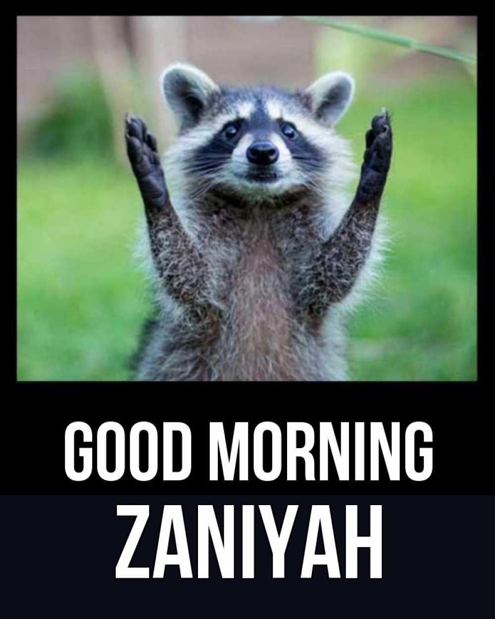 Greetings card с именем, Zaniyah Good morning хорошее настроение утречком Greetings with text for free download 