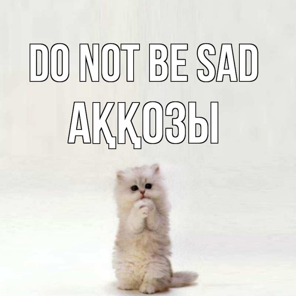 Greetings card с именем, Аққозы Do not be sad грустный кот Greetings with text for free download 