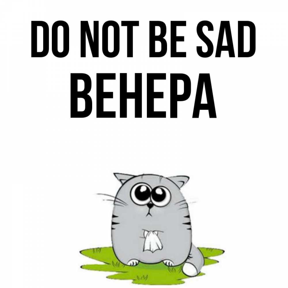 Greetings card с именем, Венера Do not be sad грустный котяра Greetings with text for free download 