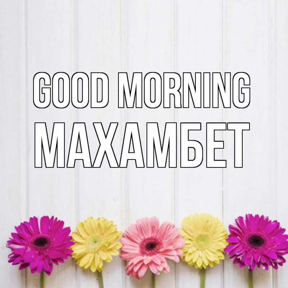 Greetings card с именем, МАХАМБЕТ Good morning красный желтый и розовый цветок Greetings with text for free download 